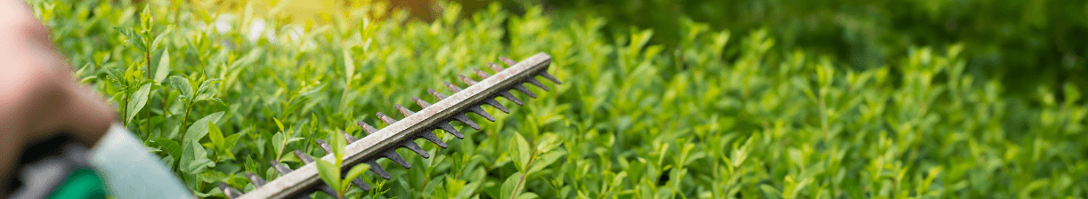 Häcksaxar för Effektiv och Enkel Busk- och Häckklippning