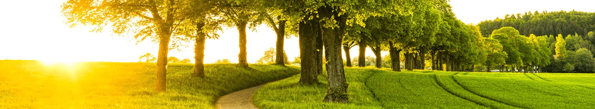 Sommarprodukter för Trädgård, Uteliv & Fritid