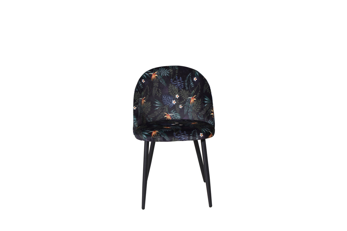 Velvet Dining Chair 2-pack Black