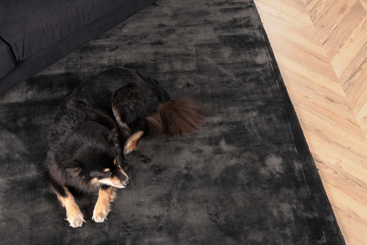 Indra Rectangular Carpet 240 x 170 Dark Grey