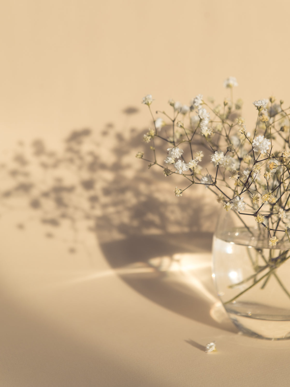 White Flowers Poster Beige