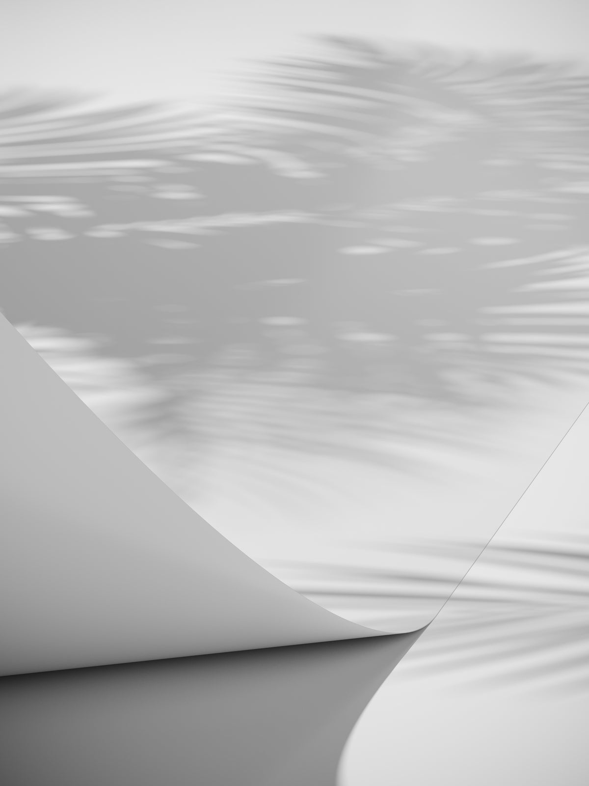 Papyrus Poster White