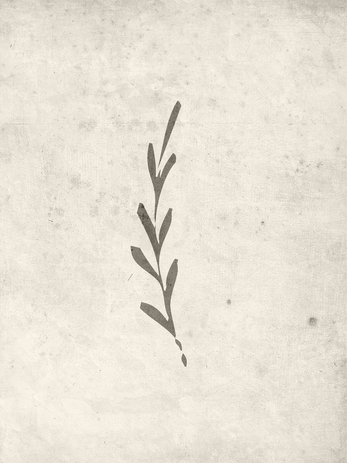 Autumn leaf Poster Beige