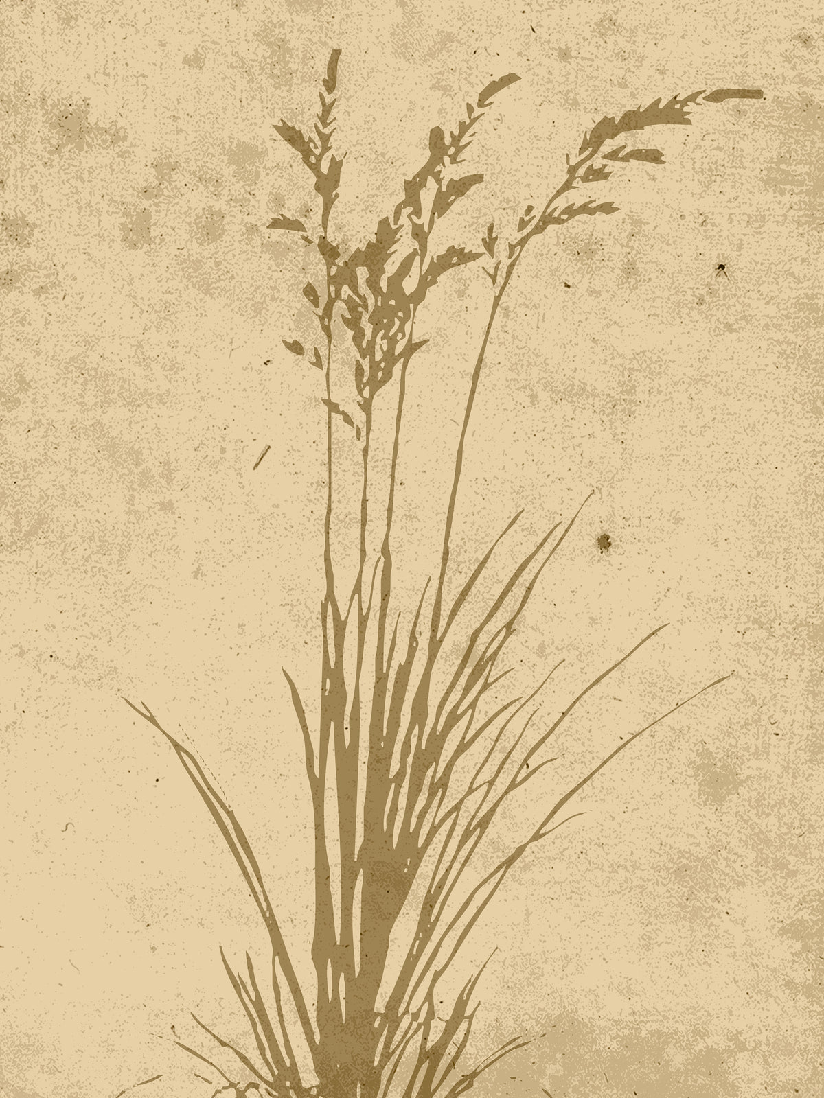 Plant art Poster Beige