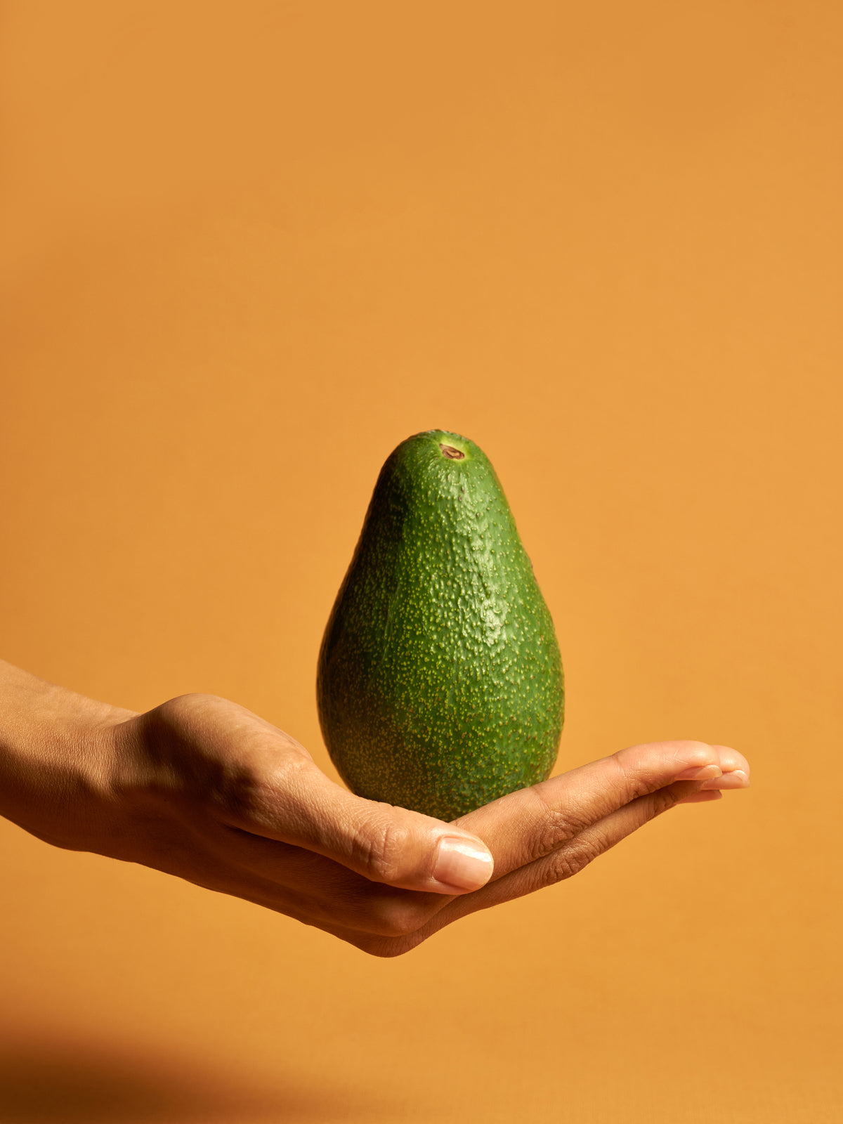 Avocado Poster Orange
