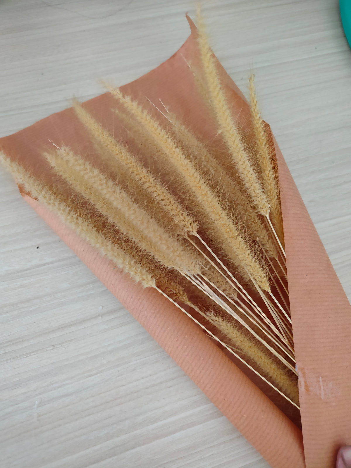 Dry flowers Poster Beige