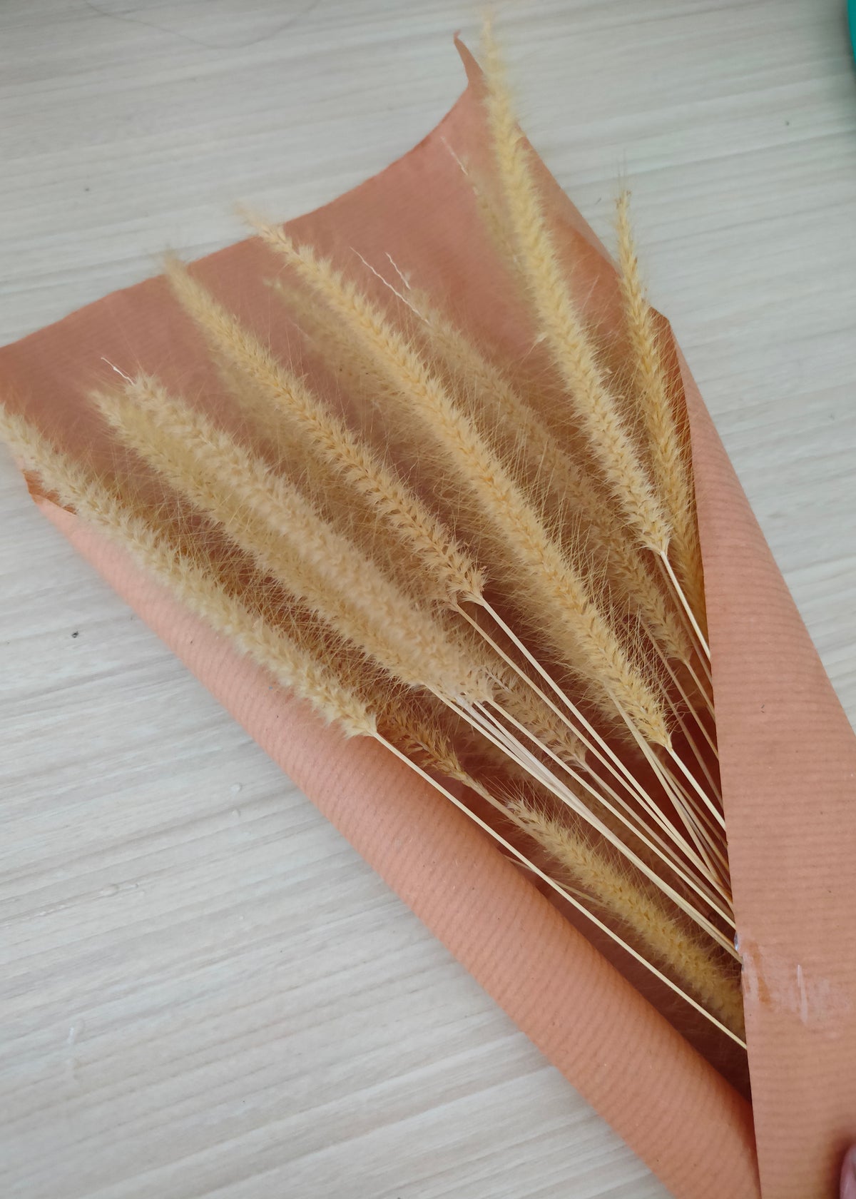 Dry flowers Poster Beige