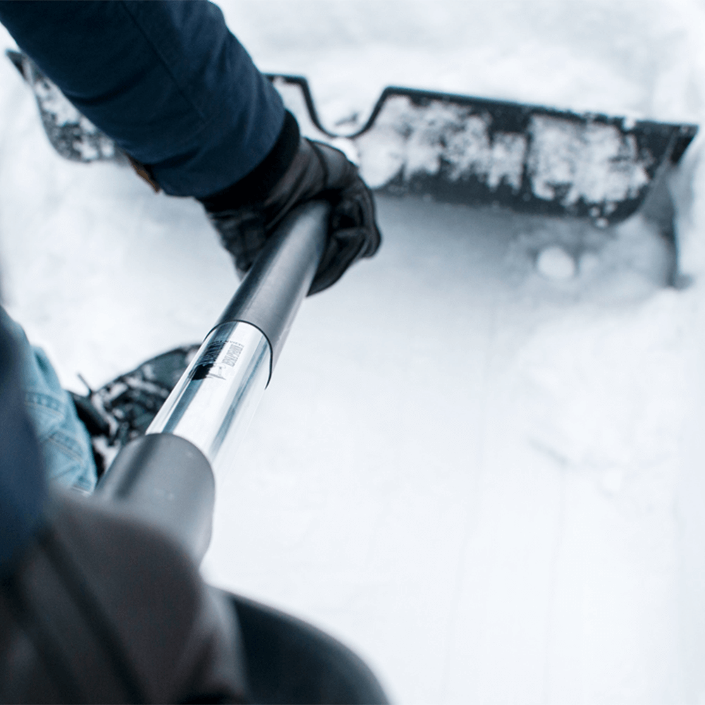 Kattolapio M2T 3-Pack