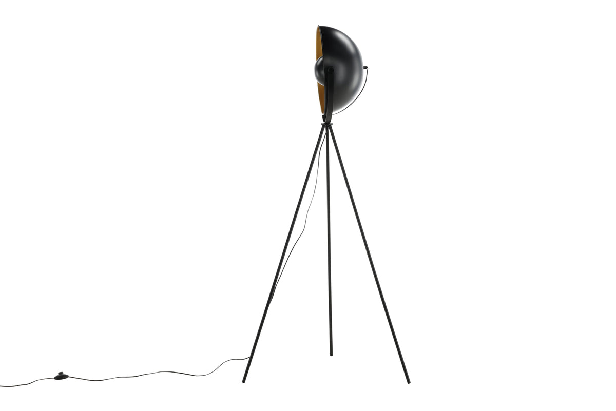 Search Floor Lamp Black
