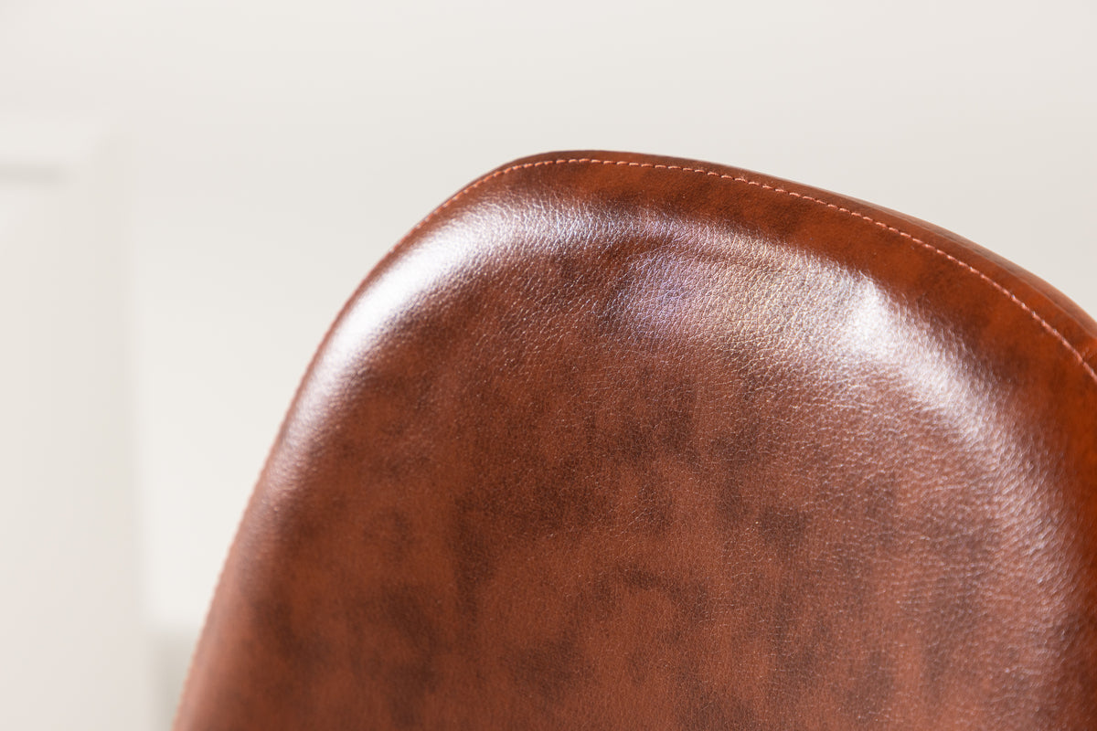 Polar Dining Chair 2-pack Brown