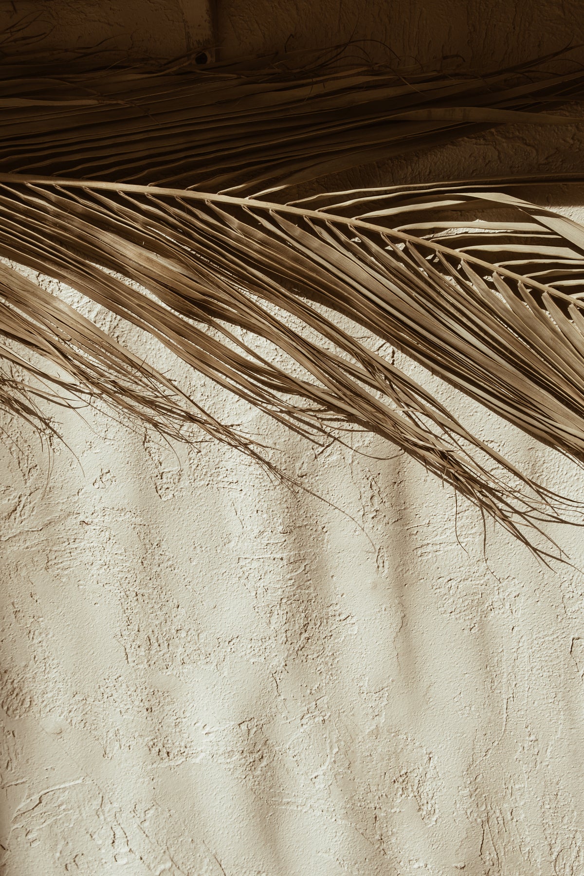 Dessert Poster Beige