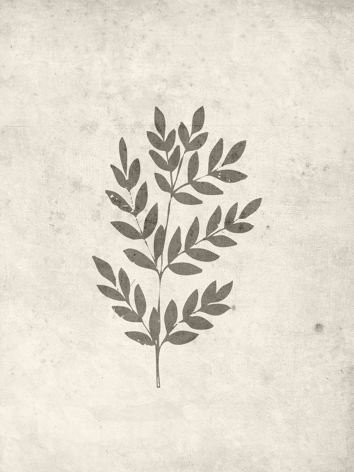 Spring leaf Poster Beige