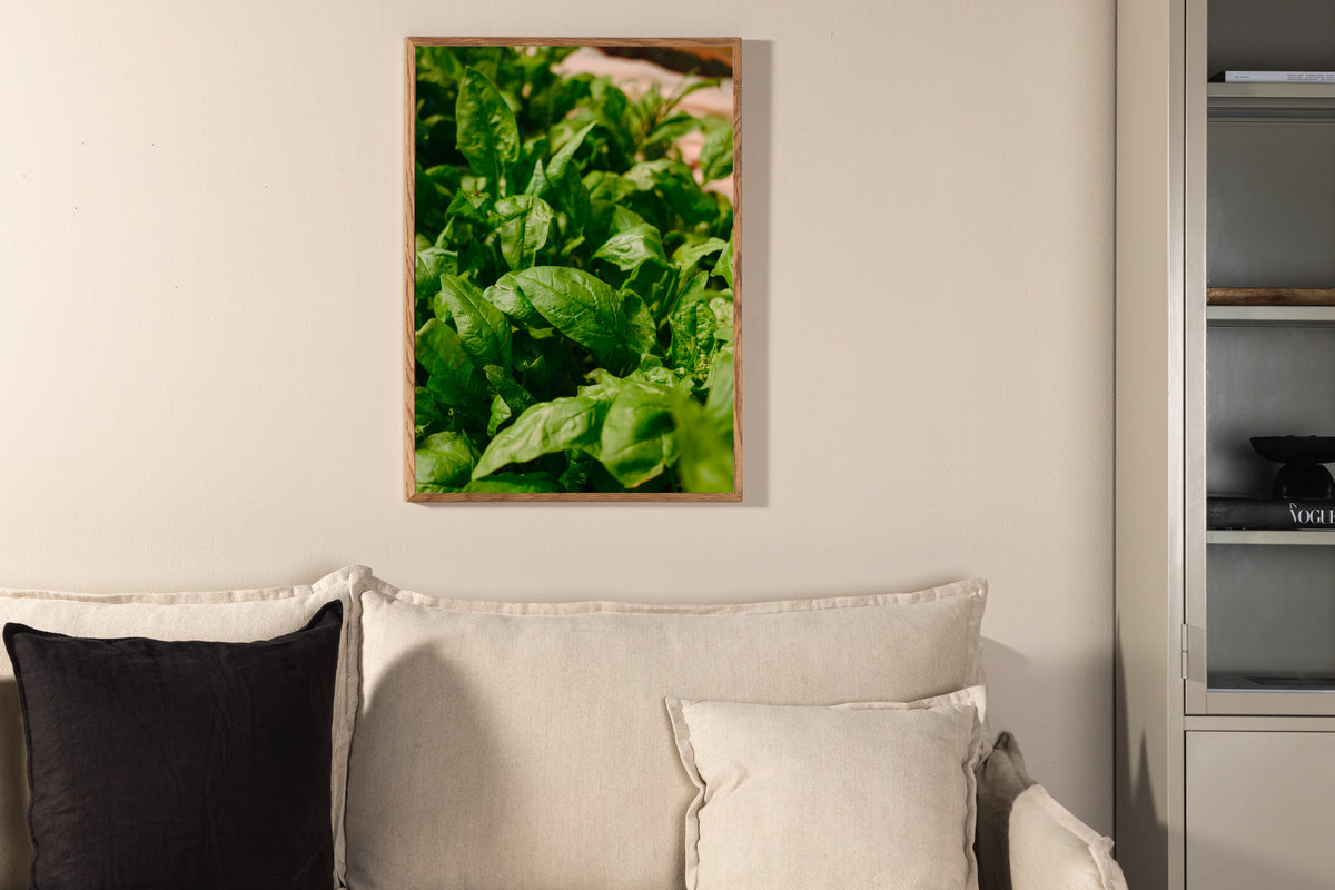 Gree leaf Poster Green