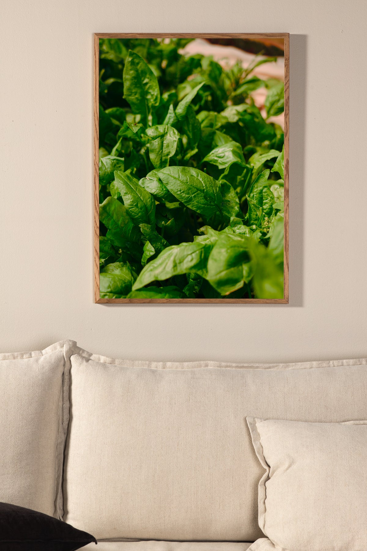Gree leaf Poster Green
