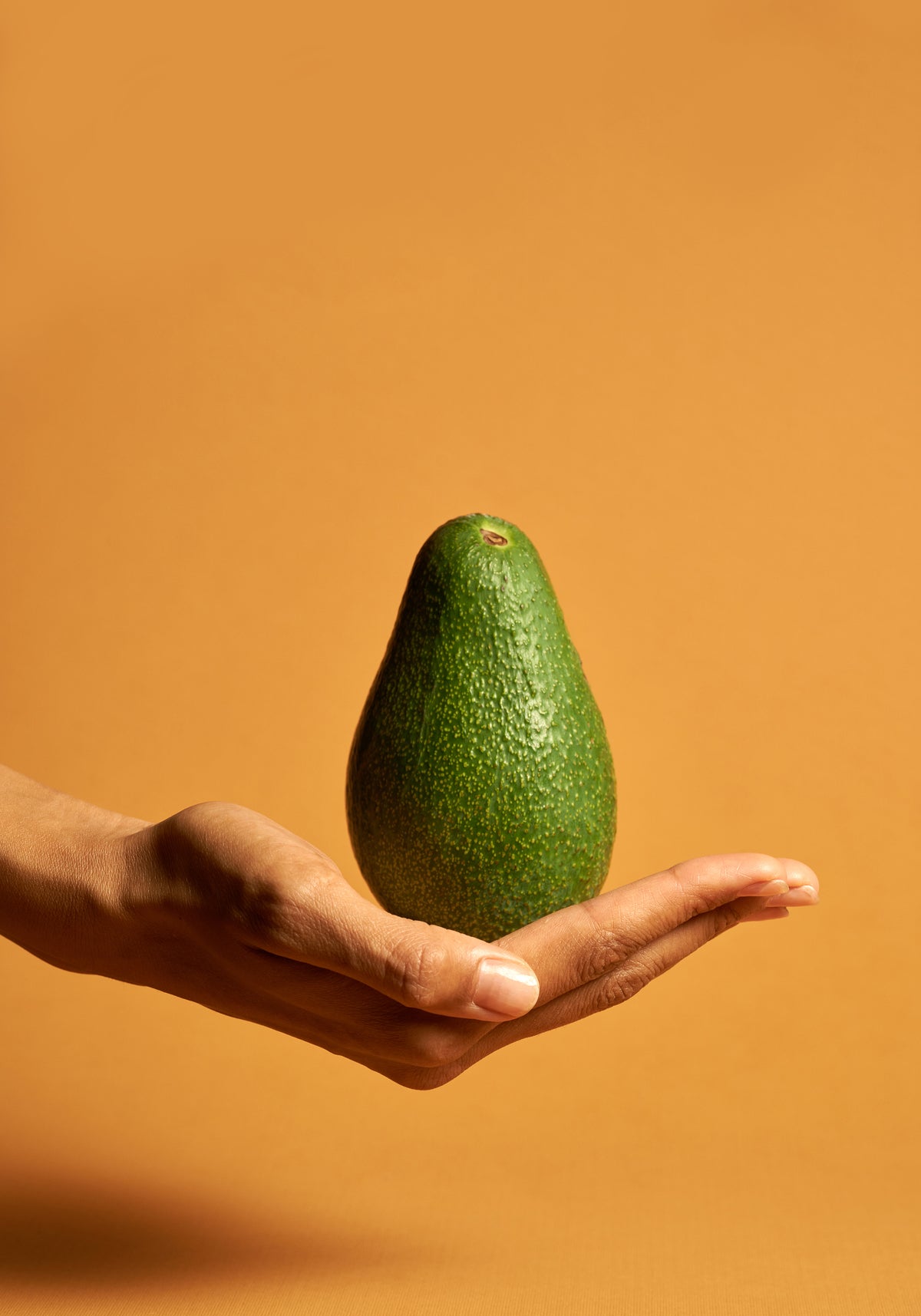 Avocado Poster Orange