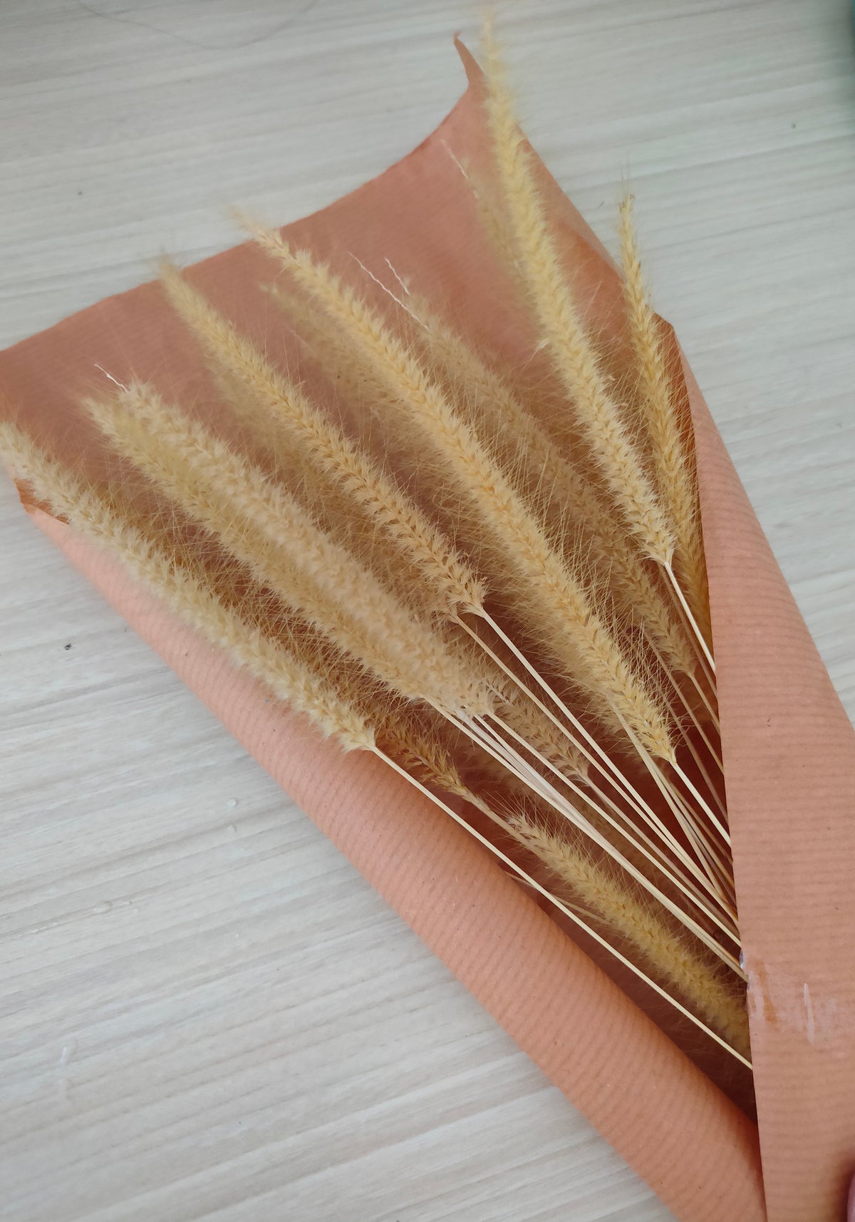 Dry flowers Poster Beige